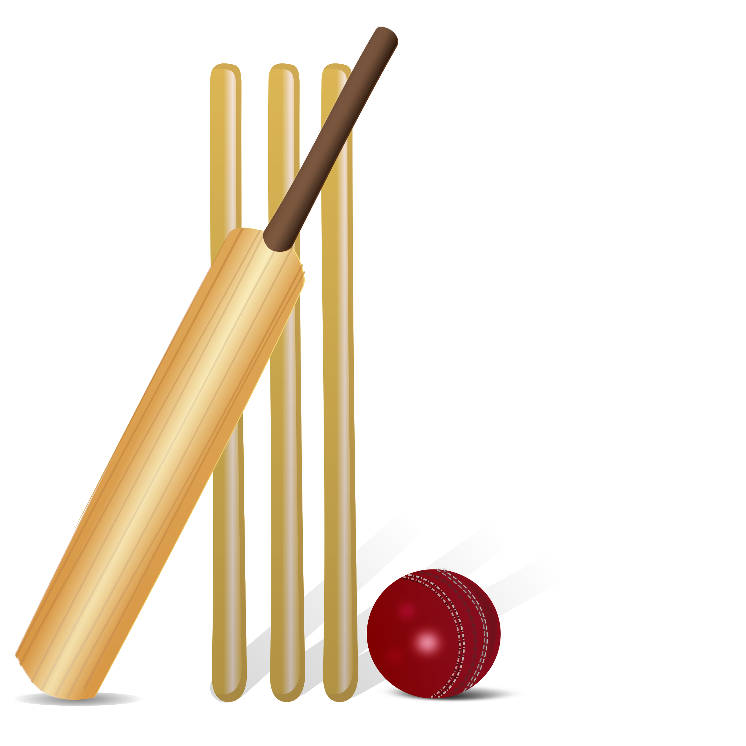 Cricket wicket bat and ball