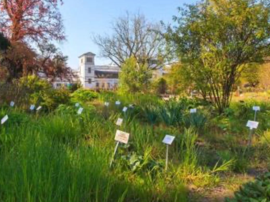 Leipzig oldest botanical garden