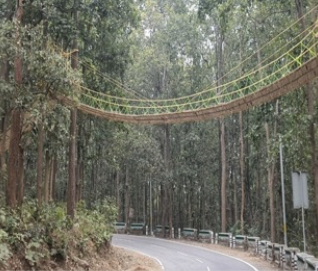 An image of the eco bridge