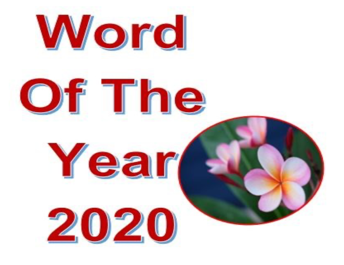 Word of the year 2020 image