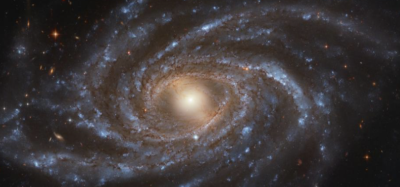 Galaxy NGC 2336 Image Credit: NASA/ESA Hubble Space Telescope