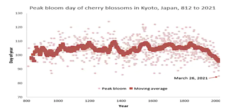 Image credit: Osaka Prefecture University