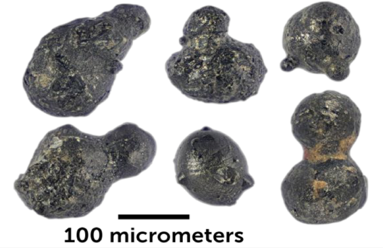 Meteorite particles collected in Antarctica Credits: Scott Peterson/micro-meteorites.com