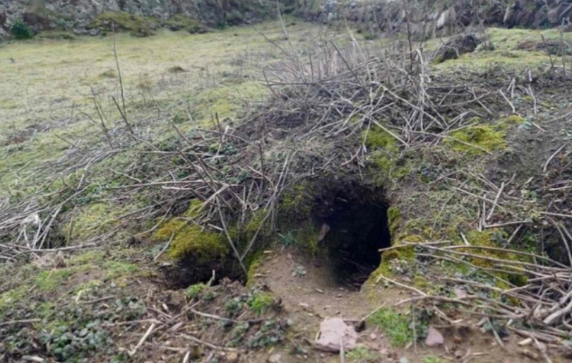 The rabbit hole that yielded the treasures Image: Richard Brown and Giselle Eagle, WTSWW