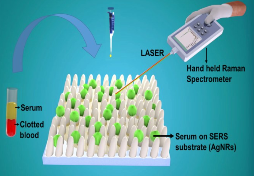 Schematic represention of the hand-held Surface Enhanced Raman Spectroscopy (SERS) platform for early stage detection of Dengue and HIV-1 virus