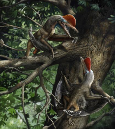 Artistic expression of the monkeydactyl Image credits: Chuang Zhao