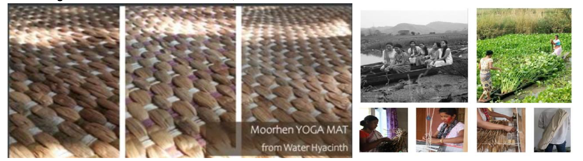 Biodegradable Yoga mats from aquatic plants – The Childrens Post