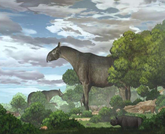 Ecological reconstruction of Giant Rhino Image credits: Tao Deng / Chinese Academy of Sciences Headquarters