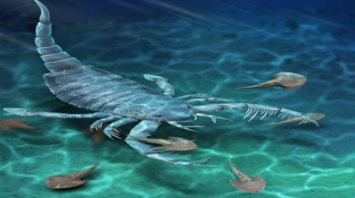 Reconstruction of Terropterus xiushanensis gen. et sp.nov