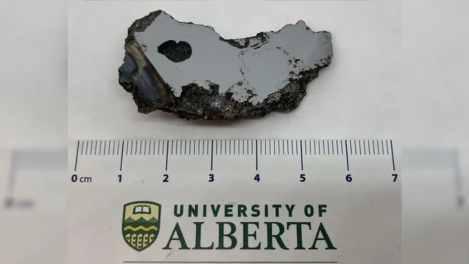 El Ali meteorite slice - University of Alberta