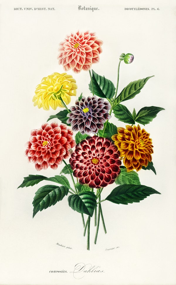 Painted bouquet of flowers